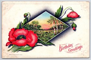 Postcard Happy Birthday Greetings Card Red Flowers Beautiful Sunset Nature View