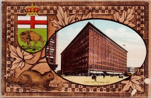 Eaton's Store Winnipeg Manitoba MB Beaver Buffalo Patriotic Postcard H56 *as is