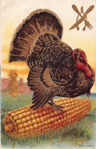 Thanksgiving Greetings 1909 Turkey Corn Cutlery poultry embossed postcard B988