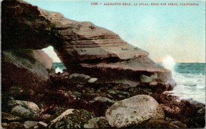 Vtg 1910s Alligator Head La Jolla near San Diego California CA Postcard