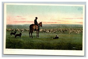 Vintage 1930's Postcard Sheep Herding on Horseback on the Ranch in the West