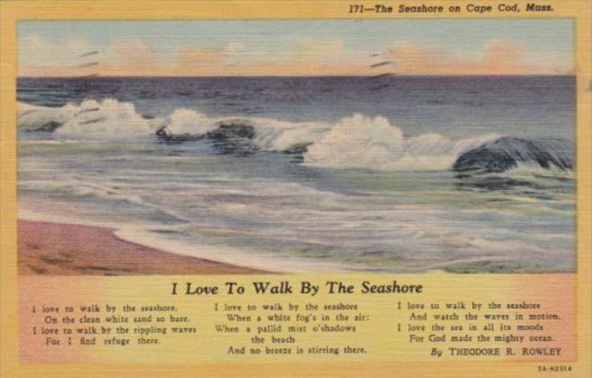 Massachusetts Cape Cod I Love The Walk By The Seashore by Theodore R Rowley 1...