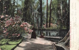 1907 Magnolia Gardens Charleston SC Postcard American Post Card Co. German Print