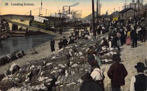 Steamers Loading Cotton ,Mississippi River,  Memphis TN, Old Postcard