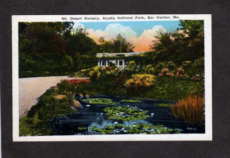 ME Acadia National Park Mt Desert island Nursery Bar Harbor Maine Postcard