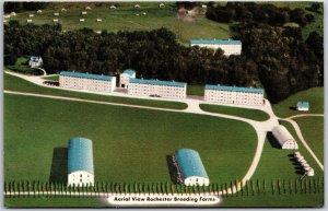 Minnesota, Rochester Breeding Farms & Hatchery Aerial View, Vintage Postcard