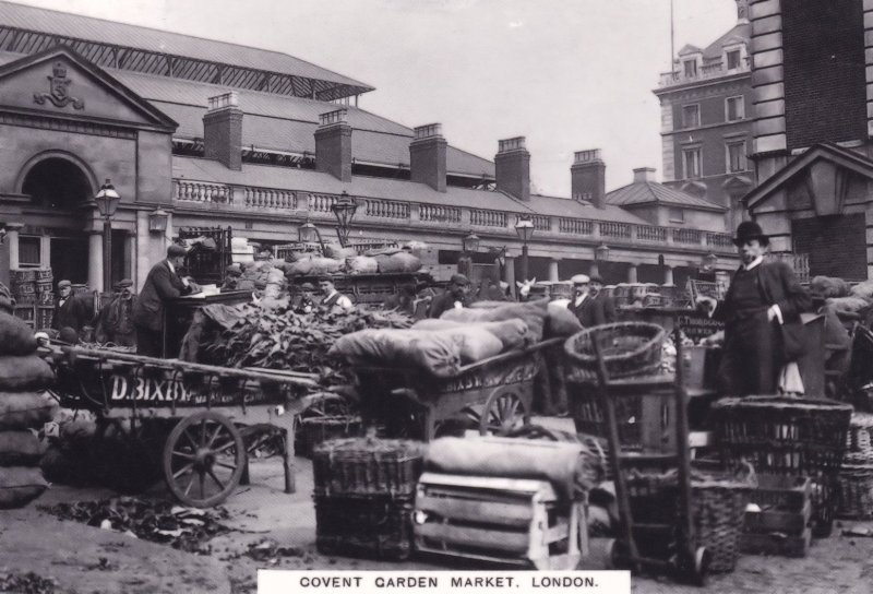 Vegetable Stalls Farming at Covent Garden London Postcard