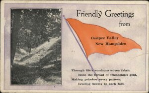 Ossipee Valley New Hampshire NH Pennant Flag c1910 Vintage Postcard