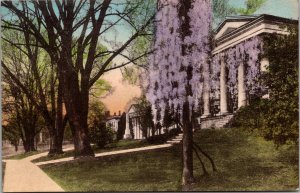 Washington Lee University Campus Wisteria Lexington VA Handcolored Postcard R78
