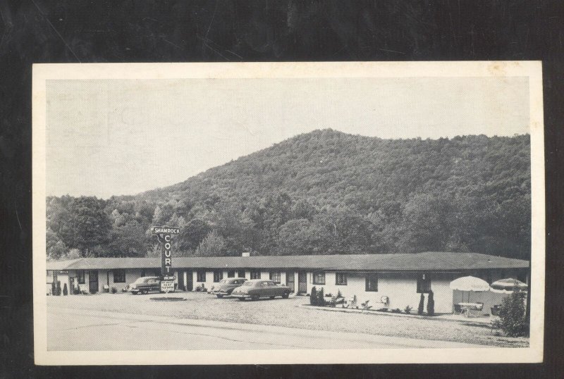 ASHEVILLE NORTH CAROLINA NC SHAMROCK COURT OLD CARS VINTAGE POSTCARD