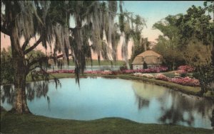 Summerville South Carolina SC Mill Pond Albertype Vintage Postcard