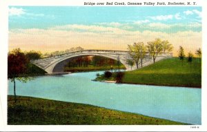 New York Rochester Genesee Valley Park Bridge Over Red Creek Curteich