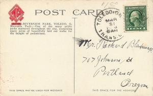 Toledo Ohio~Path Split by Trees, Shrubs~Riverside Park~1910 Postcard