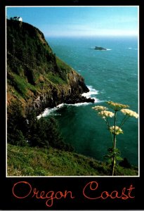 Oregon Coast The Lookout At Cape Foulweather