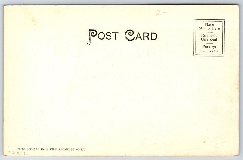 Marlin Texas~Arlington Hotel Greetings~B&W Vignette~S Langsdorf c1905 Postcard