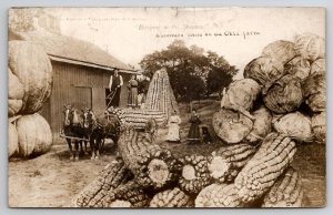 RPPC Exaggerated Corn Cabbage Pumpkin Common Oklahoma Farm c1910 Postcard J27