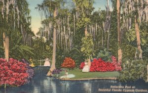 Nature's Paradise on the Gulf in the Sunshine State Florida FL Vintage Postcard