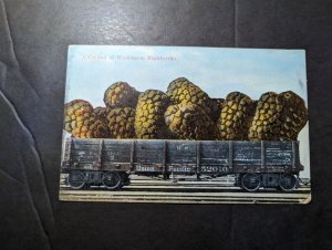 Mint USA Postcard A Carload of Washington Blackberries Union Pacific