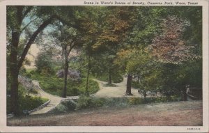 Postcard Scene Waco's Dream of Beauty Cameron Park Waco Texas TX