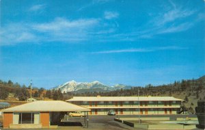 Flagstaff, Arizona FRONTIER MOTEL Roadside ROUTE 66 1950s Vintage Postcard