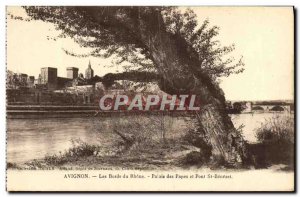 Old Postcard Avignon Les Bords du Rhone Palais des Papes and Pont St. Benezet