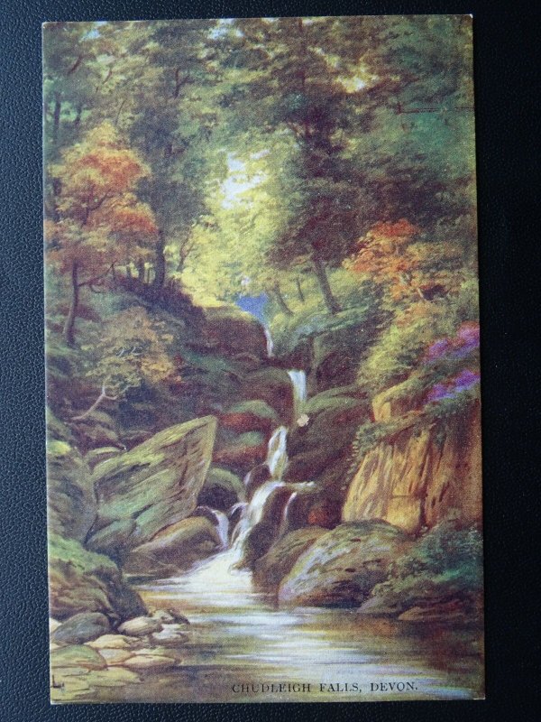 Devon CHUDLEIGH FALLS c1905 Postcard by C.W. Faulkner & Co. 464B