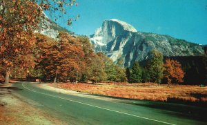 Vintage Postcard Yosemite National Park Winding Road Autumn Color Half-Dome CA