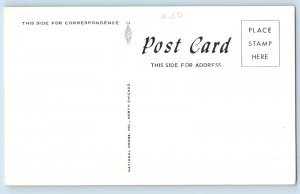 Pit Hole City Pennsylvania Postcard Famous Oil Boom Town Scene c1920's Antique