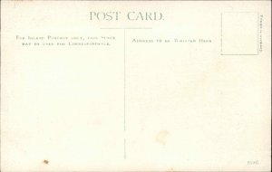 Antique Postcard Burley New Forest Hampshire Street View