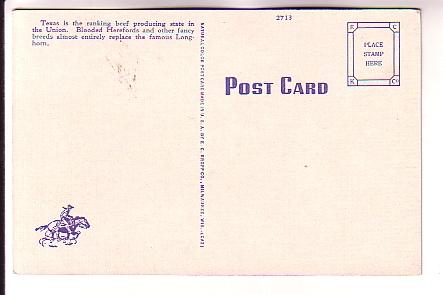 Longhorn Steer, Texas, Cowboy on Back