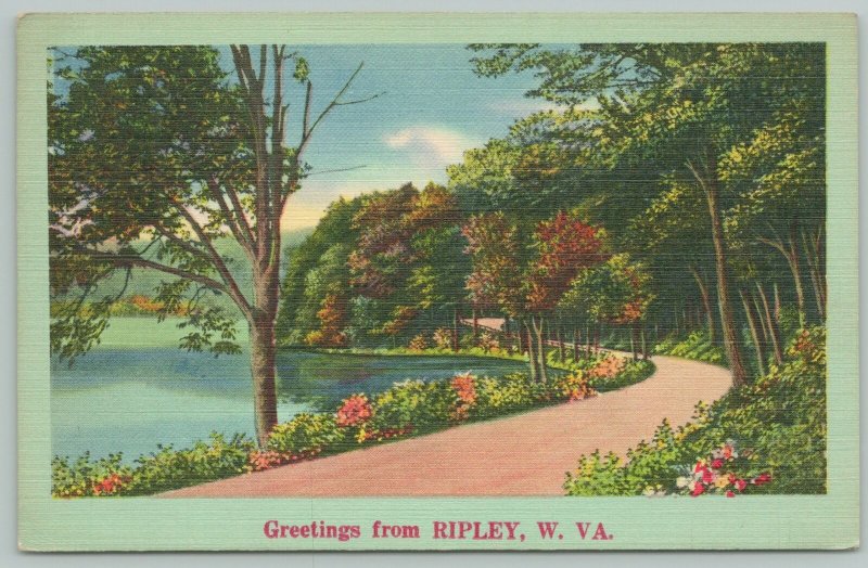 Ripley West Virginia~Scenic View Of Path And Lake~1940s Linen Postcard