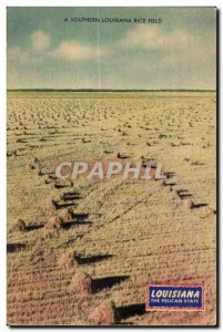 Old Postcard A Southern Lousiana Rice Field Rice Field