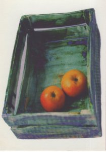 Willesden Art Painting Geraldine Hallett Ceramic Fruit Crate Exhibition Postcard