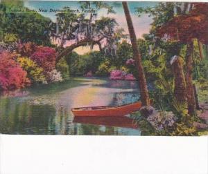 Florida Daytona Tomoka River Scene 1955