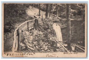 1905 Caldeno Falls Delaware Lake Water Gap Pennsylvania Vintage Antique Postcard