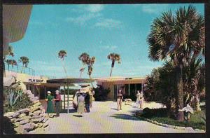 Gift Shop Marineland St Augustine FL Post Card  5447