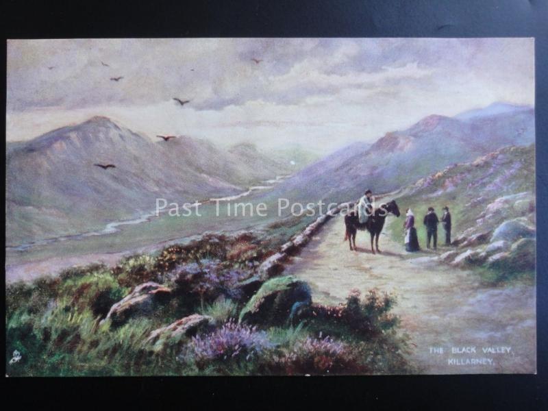 Ireland KILLARNEY THE BLACK VALLEY c1904 Artist F.W. HAYES by Raphael Tuck 7137