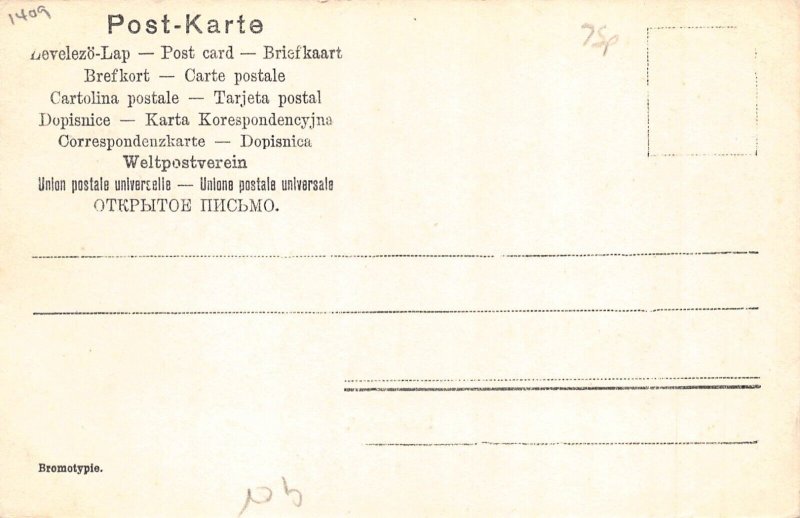 A141 Germany Cologne Koeln Total View Steamboats bridge postcard