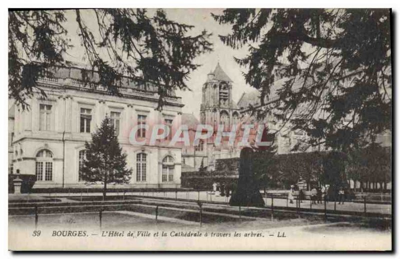 Old Postcard Bourges Hotel de Ville and the Cathedral through the trees