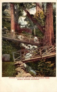 Zig-Zag Trail Bridges, Glacier Falls, Shasta Springs, CA c1900s Vintage Postcard