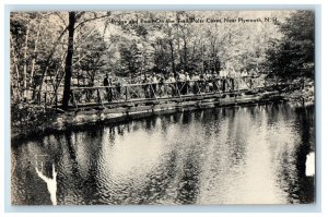 c1940s Bridge and Pond On The Trail Polar Caves Near Plymouth NH Postcard 