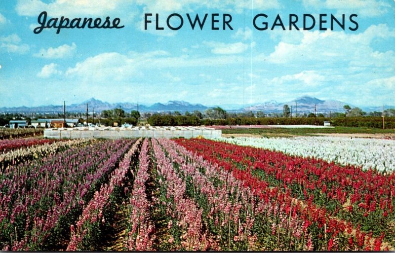 Arizona Phoenix Japanese Flower Gardens 1963