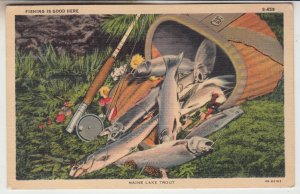 P2411, vintage postcard fly rod creel maine lake trout unused