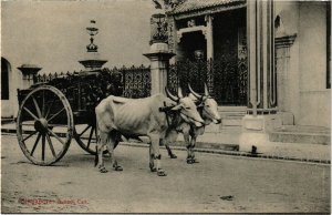 PC CPA SINGAPORE, BULLOCK CART, VINTAGE POSTCARD (b4297)