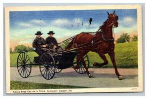 Vintage 1930's Postcard Two Amish Boys in Horse & Buggy Lancaster County PA