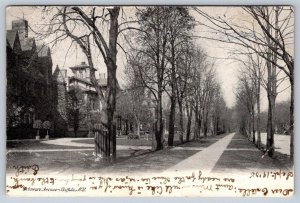 Delaware Avenue, Buffalo New York, Antique 1905 Postcard