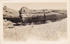 Arizona Petrified Log Real Photo