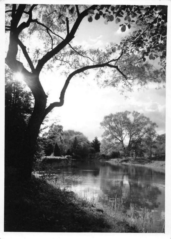 Zelazowa Wola Poland Park Pond Scenic View Real Photo Antique Postcard J77336