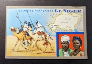 Mint France French Colony of Niger Postcard Black Lion Products Advertisement