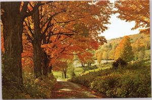 Vermont Scenic Fall Foliage VT-487